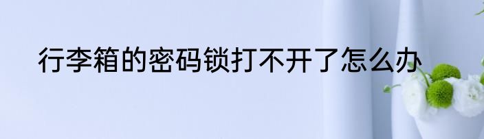行李箱的密码锁打不开了怎么办