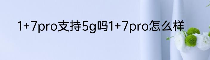 1+7pro支持5g吗1+7pro怎么样