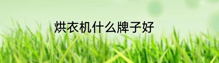 烘衣机什么牌子好