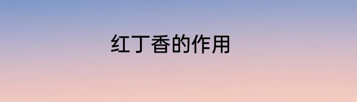 红丁香的作用
