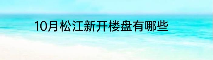 10月松江新开楼盘有哪些