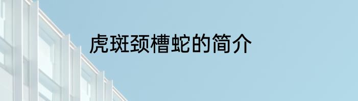 虎斑颈槽蛇的简介