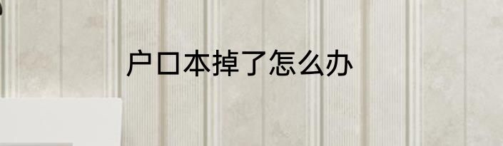 户口本掉了怎么办