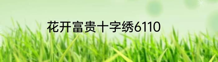 花开富贵十字绣6110