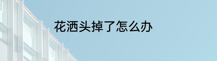 花洒头掉了怎么办