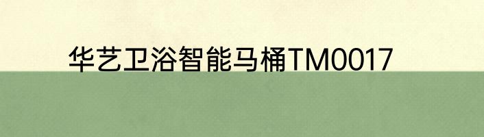 华艺卫浴智能马桶TM0017