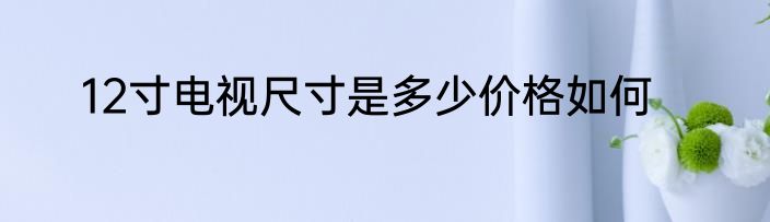 12寸电视尺寸是多少价格如何
