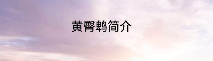 黄臀鹎简介
