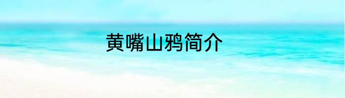 黄嘴山鸦简介