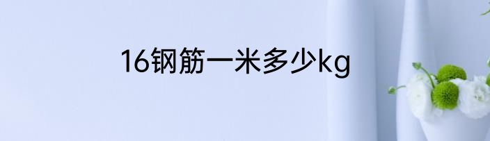 16钢筋一米多少kg