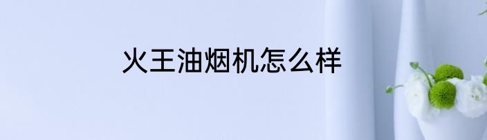 火王油烟机怎么样