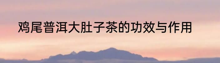 鸡尾普洱大肚子茶的功效与作用