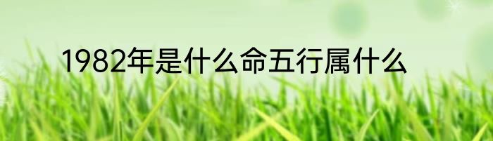 1982年是什么命五行属什么