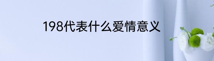 198代表什么爱情意义