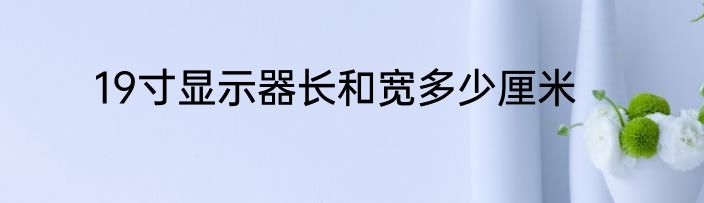 19寸显示器长和宽多少厘米