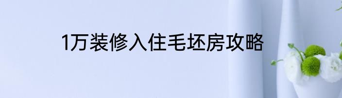 1万装修入住毛坯房攻略