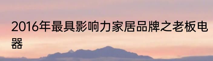 2016年最具影响力家居品牌之老板电器