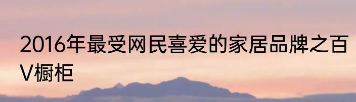 2016年最受网民喜爱的家居品牌之百V橱柜
