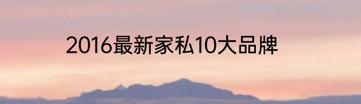 2016最新家私10大品牌
