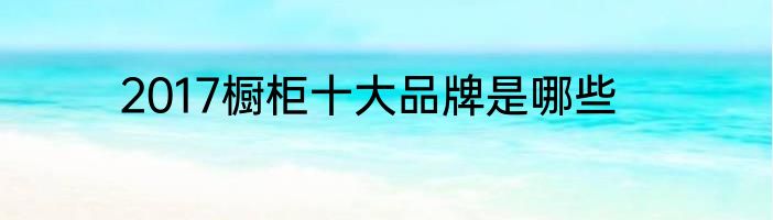 2017橱柜十大品牌是哪些