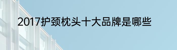 2017护颈枕头十大品牌是哪些