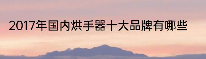 2017年国内烘手器十大品牌有哪些