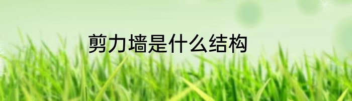 剪力墙是什么结构
