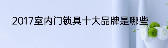 2017室内门锁具十大品牌是哪些