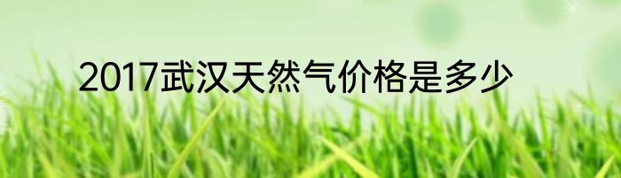 2017武汉天然气价格是多少