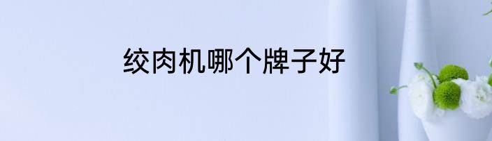 绞肉机哪个牌子好