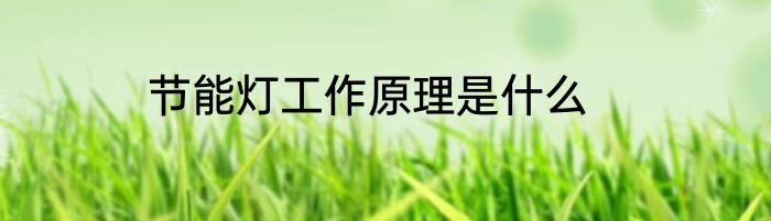 节能灯工作原理是什么