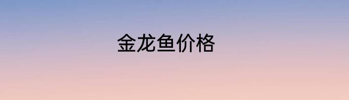 金龙鱼价格