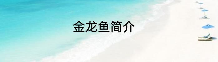 金龙鱼简介