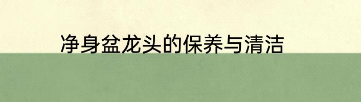 净身盆龙头的保养与清洁