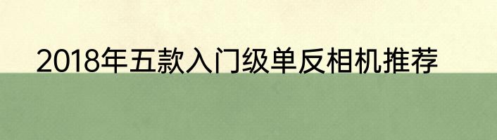2018年五款入门级单反相机推荐