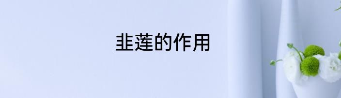 韭莲的作用