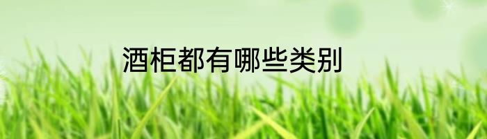 酒柜都有哪些类别