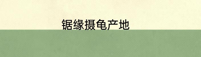 锯缘摄龟产地