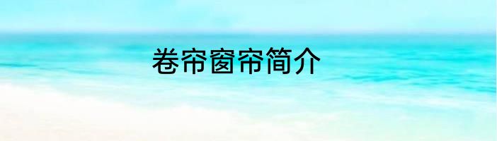 卷帘窗帘简介