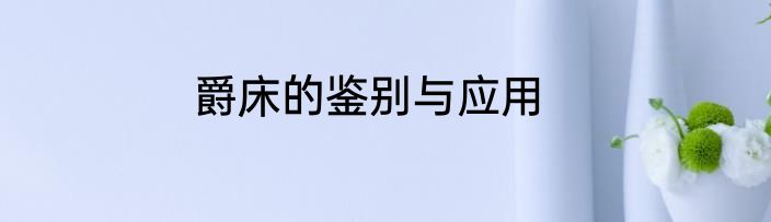 爵床的鉴别与应用