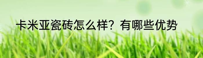 卡米亚瓷砖怎么样？有哪些优势