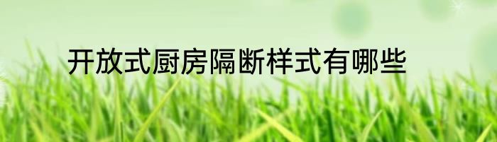 开放式厨房隔断样式有哪些