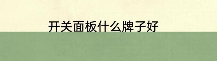 开关面板什么牌子好