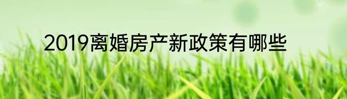 2019离婚房产新政策有哪些