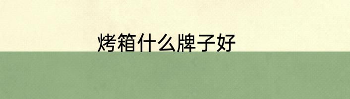 烤箱什么牌子好