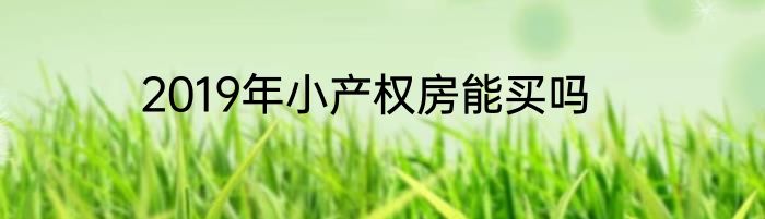 2019年小产权房能买吗