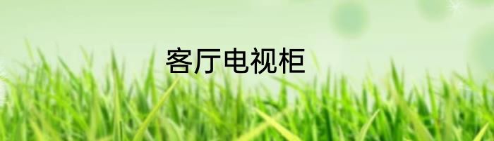 客厅电视柜