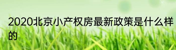 2020北京小产权房最新政策是什么样的