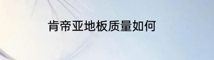 肯帝亚地板质量如何