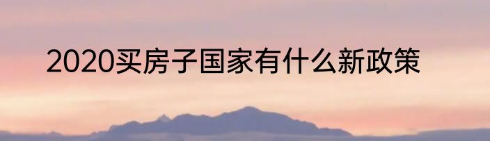 2020买房子国家有什么新政策